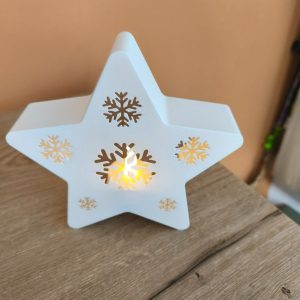 Étoile photophore flocon blanc