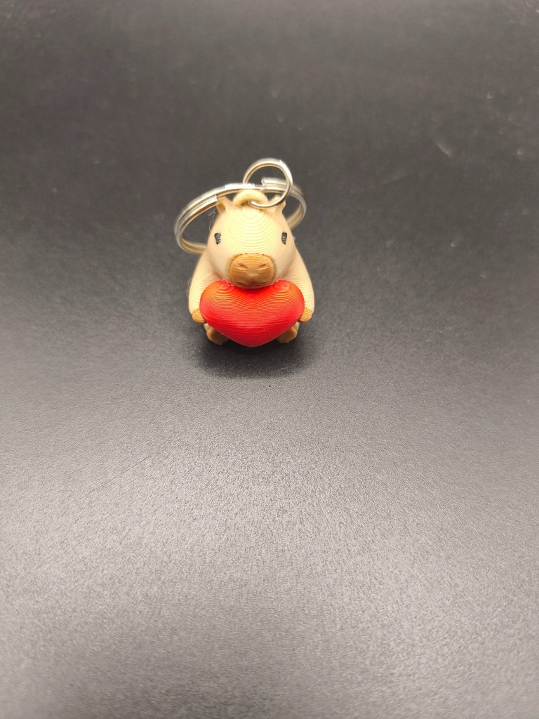Capybara cœur rouge – Image 2